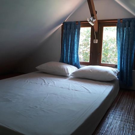 Le Jardin Hotel Amed Cameră foto